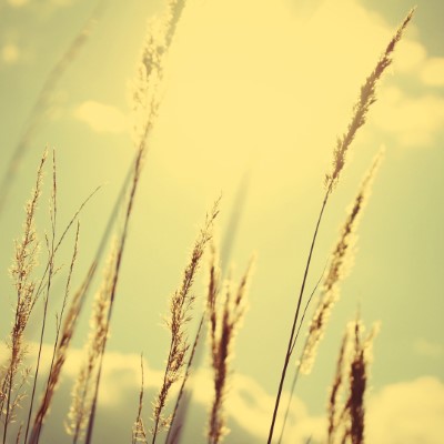 1920 x 1080 HD Wallpapers 1853